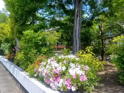 墨俣神社の{uncategorized: "未分類", other: "その他", undefined: "問題あり", building: "その他建物", grave: "お墓", sacred_gate: "鳥居", guardian: "狛犬", statue: "像", buddha: "仏像", history: "歴史", nature: "自然", garden: "庭園", animal: "動物", pagoda: "塔", temizu: "手水舎", mountain_gate: "山門・神門", sanctuary: "本殿・本堂", subordinate: "末社・摂社", art: "芸術", scenery: "景色", jizo: "地蔵", ema: "絵馬", goshuin: "御朱印", omikuji: "おみくじ", items: "授与品その他", amulet: "お守り", goshuincho: "御朱印帳", eats: "食事", festival: "お祭り", votive_dance: "神楽", shichigosan: "七五三参", wedding: "結婚式", experience: "体験その他", initially: "初詣", around: "周辺", anti_infection: "感染症対策"}