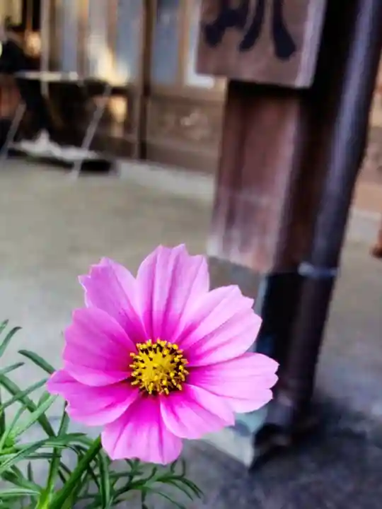 本郷氷川神社(東京都)