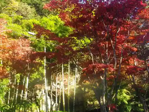 海蔵寺の景色