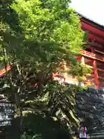 比叡山延暦寺(滋賀県)
