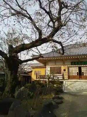 禅定院の本殿・本堂