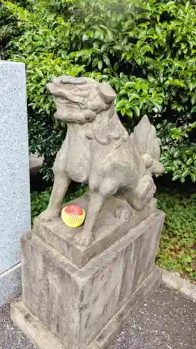 白金氷川神社の狛犬