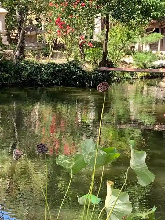 椎尾山薬王院(茨城県)