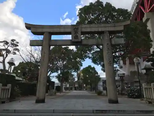 若松恵比須神社 の鳥居