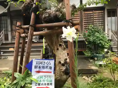 宝珠院の自然
