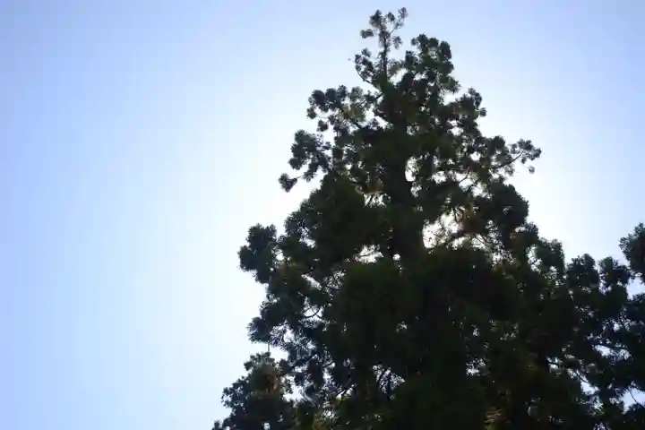 大神神社(奈良県)