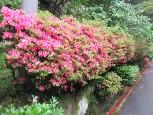 播州清水寺(兵庫県)