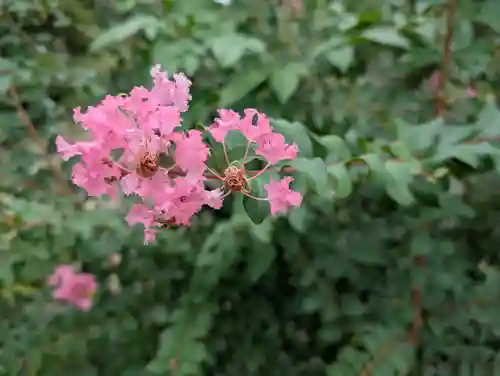 豊景神社(福島県)
