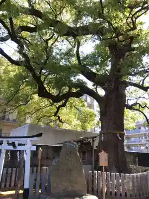 津門神社(兵庫県)
