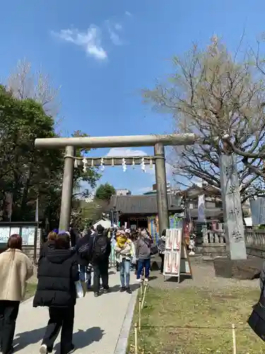 浅草神社の鳥居