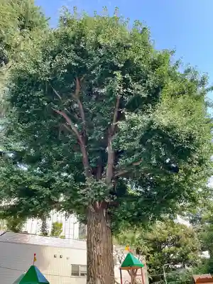 圓能寺(東京都)