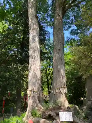 妻沼聖天山歓喜院(埼玉県)