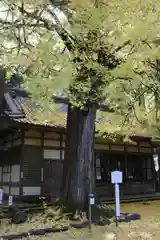 若狭姫神社（若狭彦神社下社）の自然