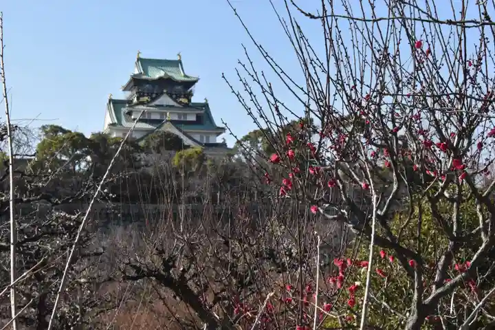豊國神社の自然