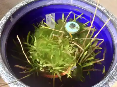 勝福寺(埼玉県)