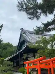 大樹寺（松安院大樹寺）(愛知県)