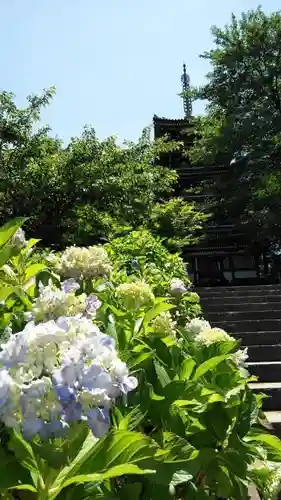 本土寺のその他建物