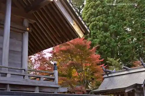 武蔵御嶽神社の山門