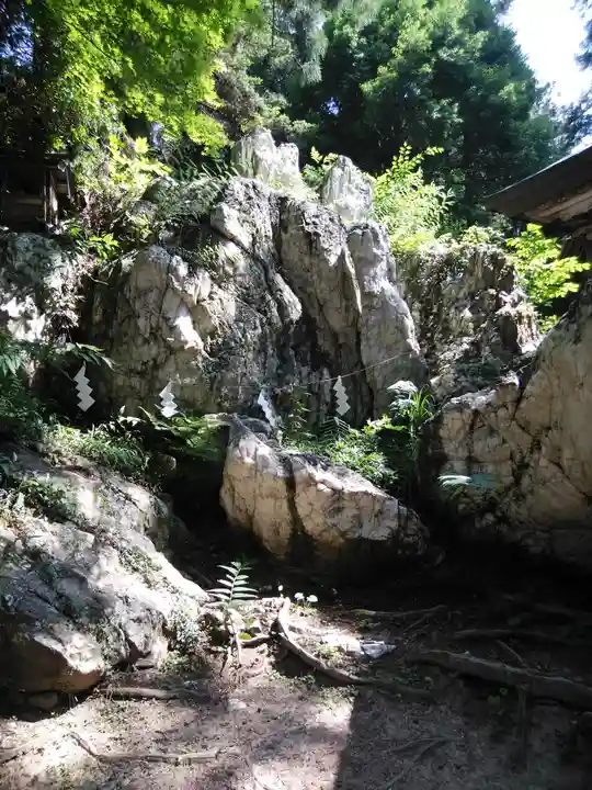 鹿島大神宮の自然