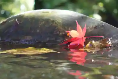 神峯山寺(大阪府)