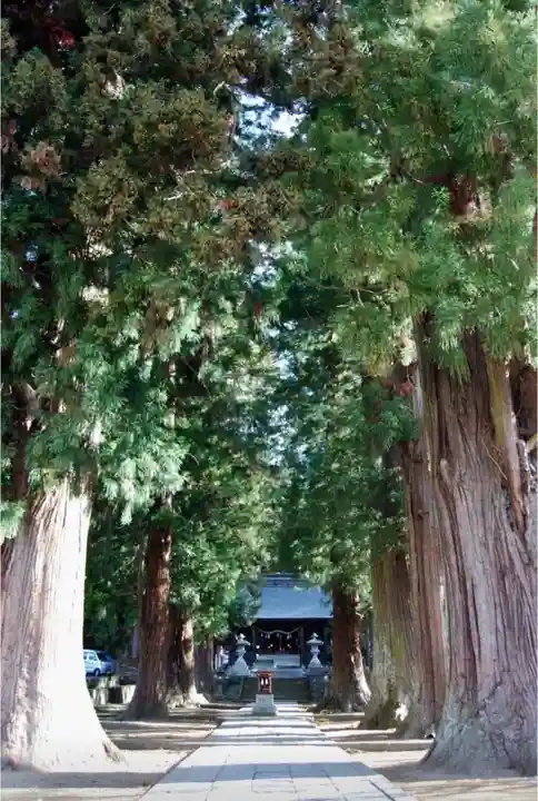 河口浅間神社の自然