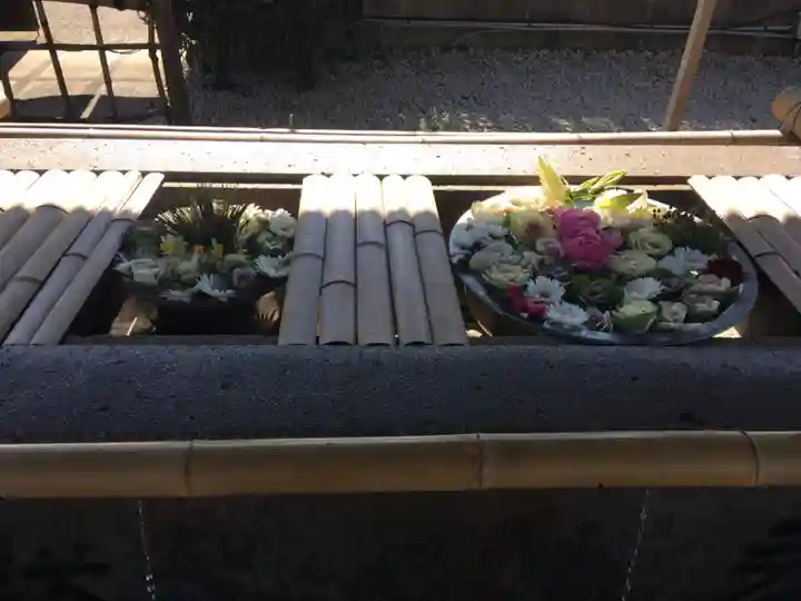 上野東照宮の手水舎