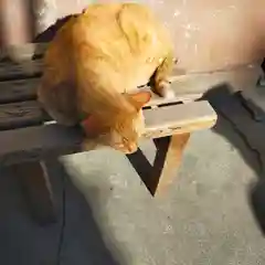 小野照崎神社の動物