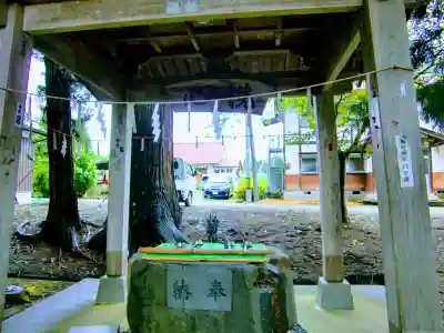 新宮熊野神社の手水舎