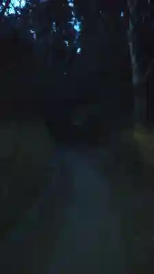 金砂神社の周辺