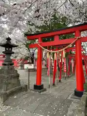 於菊稲荷神社の鳥居