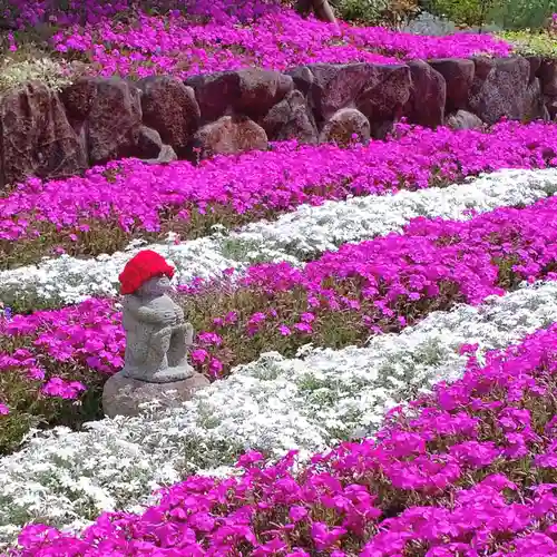 寿量山　速成寺(奈良県)