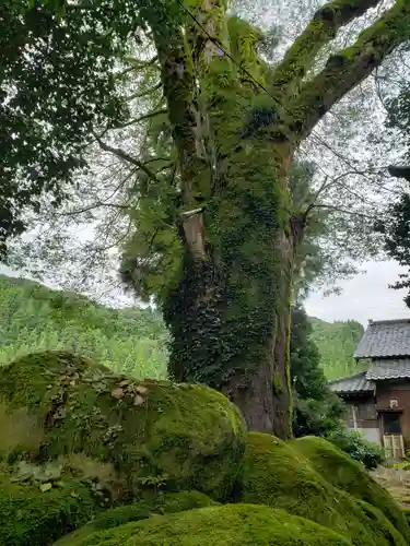 宮島神社の自然