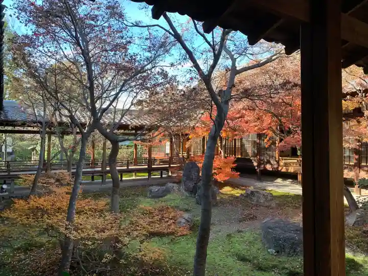 建仁寺(建仁禅寺)(京都府)