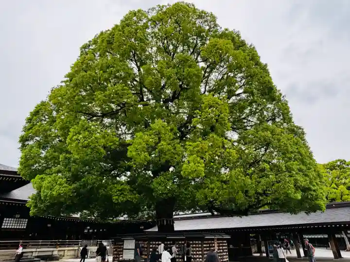 明治神宮(東京都)