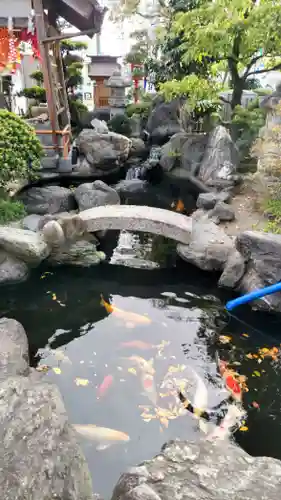 尾張猿田彦神社(愛知県)