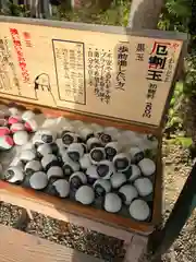 鎮守氷川神社(埼玉県)