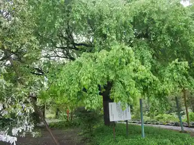 森友瀧尾神社(栃木県)
