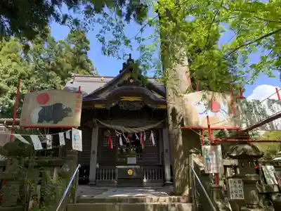 渋川八幡宮の本殿・本堂
