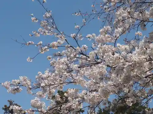 宇都母知神社(神奈川県)