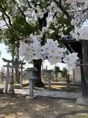 口里大歳神社(兵庫県)