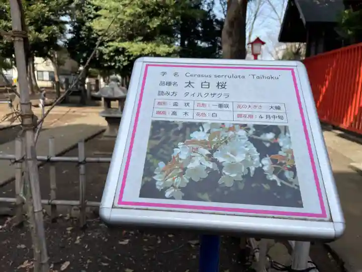 村富神社(神奈川県)