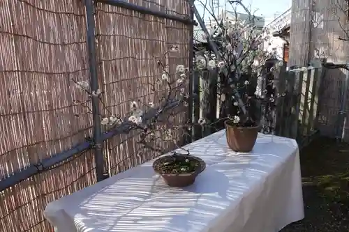 菅原天満宮（菅原神社）(奈良県)