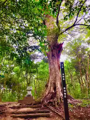 成田熊野神社(千葉県)