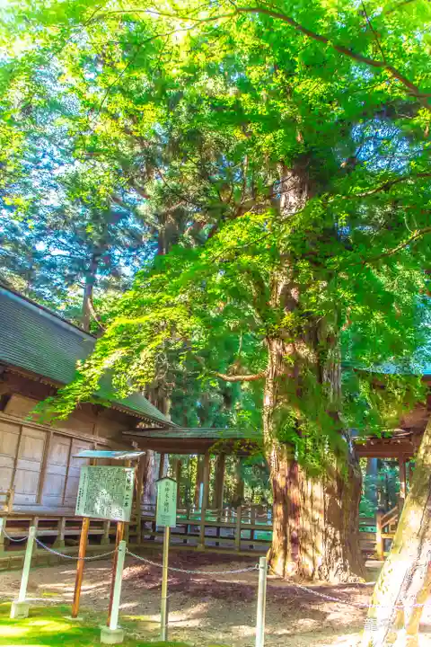 上沼八幡神社(宮城県)