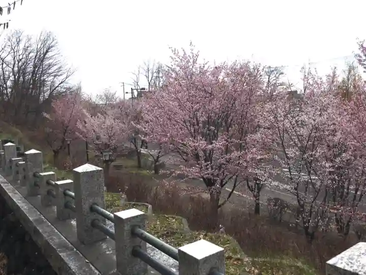 厚別神社の自然