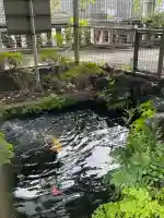 九頭龍権現水神社(東京都)
