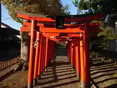 金太郎稲荷神社の鳥居