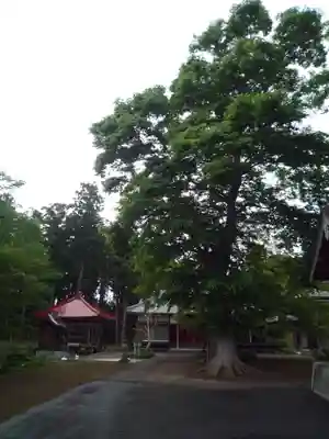 蓮花寺(茨城県)