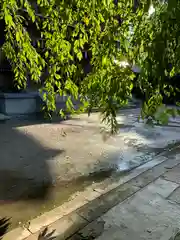 伊佐須美神社の庭園