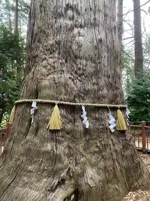 麻賀多神社(千葉県)